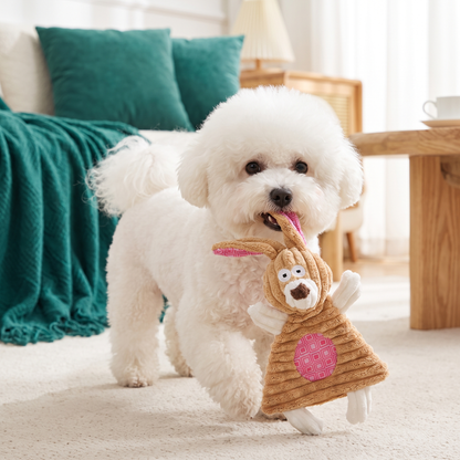 Durable Stuffing-Free Crinkle Squeaky Dog Toy