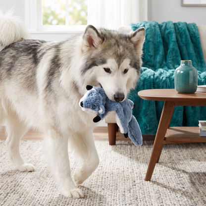 Durable Stuffing-Free Crinkle Squeaky Dog Toy