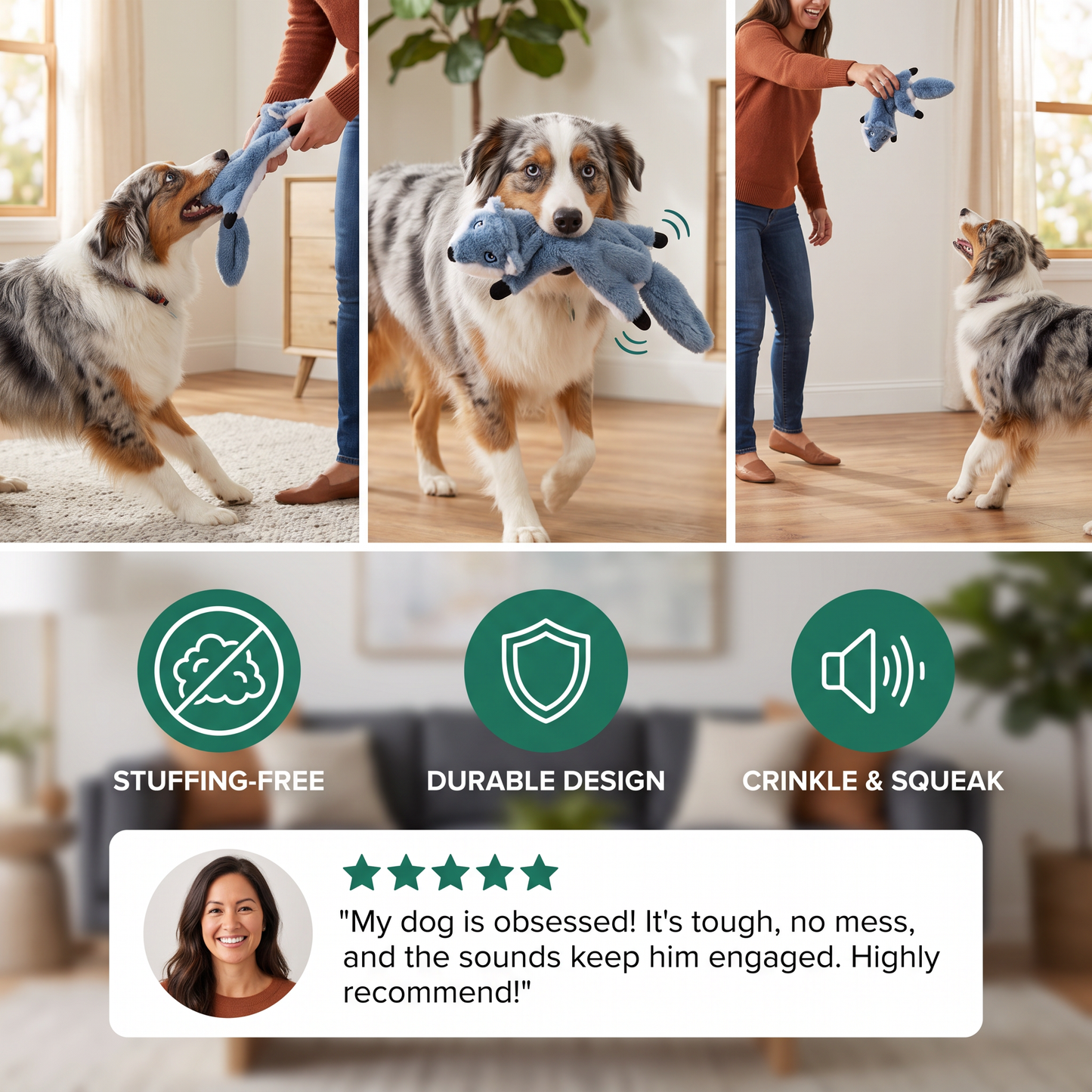 Durable Stuffing-Free Crinkle Squeaky Dog Toy