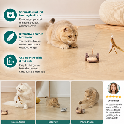 Interactive Cat Toy 3-in-1 – Moving Feather Chase for Active Playtime