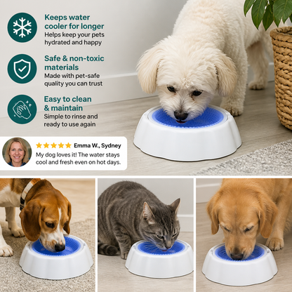 Cooling Pet Water Bowl for Dogs and Cats