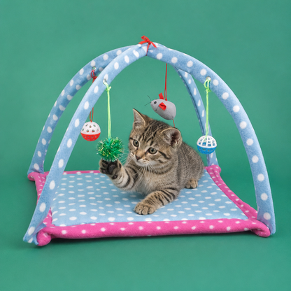 Foldable Cat Play Tent with Hanging Toys and Activity Mat