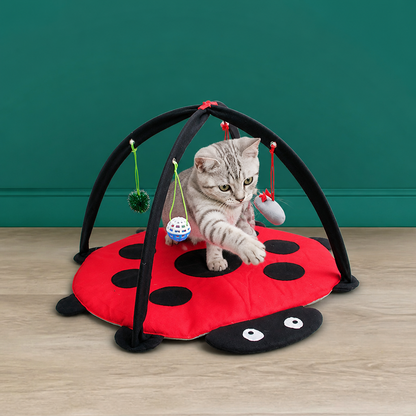 Foldable Cat Play Tent with Hanging Toys and Activity Mat