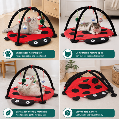 Foldable Cat Play Tent with Hanging Toys and Activity Mat