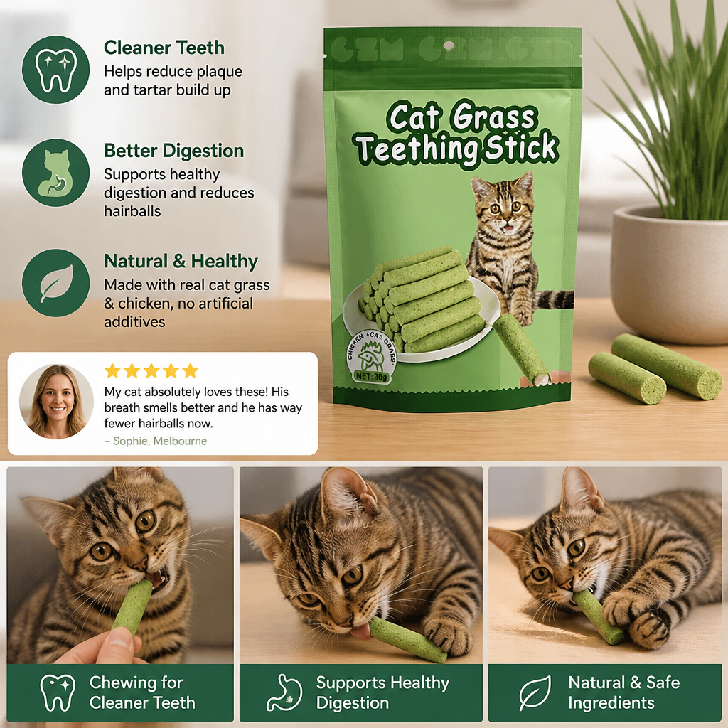 Cat Grass Sticks for Better Digestion and Healthy Teeth