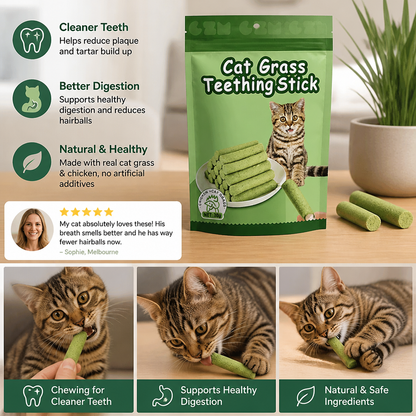 Cat Grass Sticks for Better Digestion and Healthy Teeth
