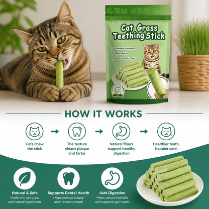 Cat Grass Sticks for Better Digestion and Healthy Teeth