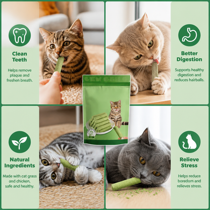 Cat Grass Sticks for Better Digestion and Healthy Teeth