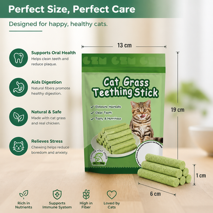 Cat Grass Sticks for Better Digestion and Healthy Teeth