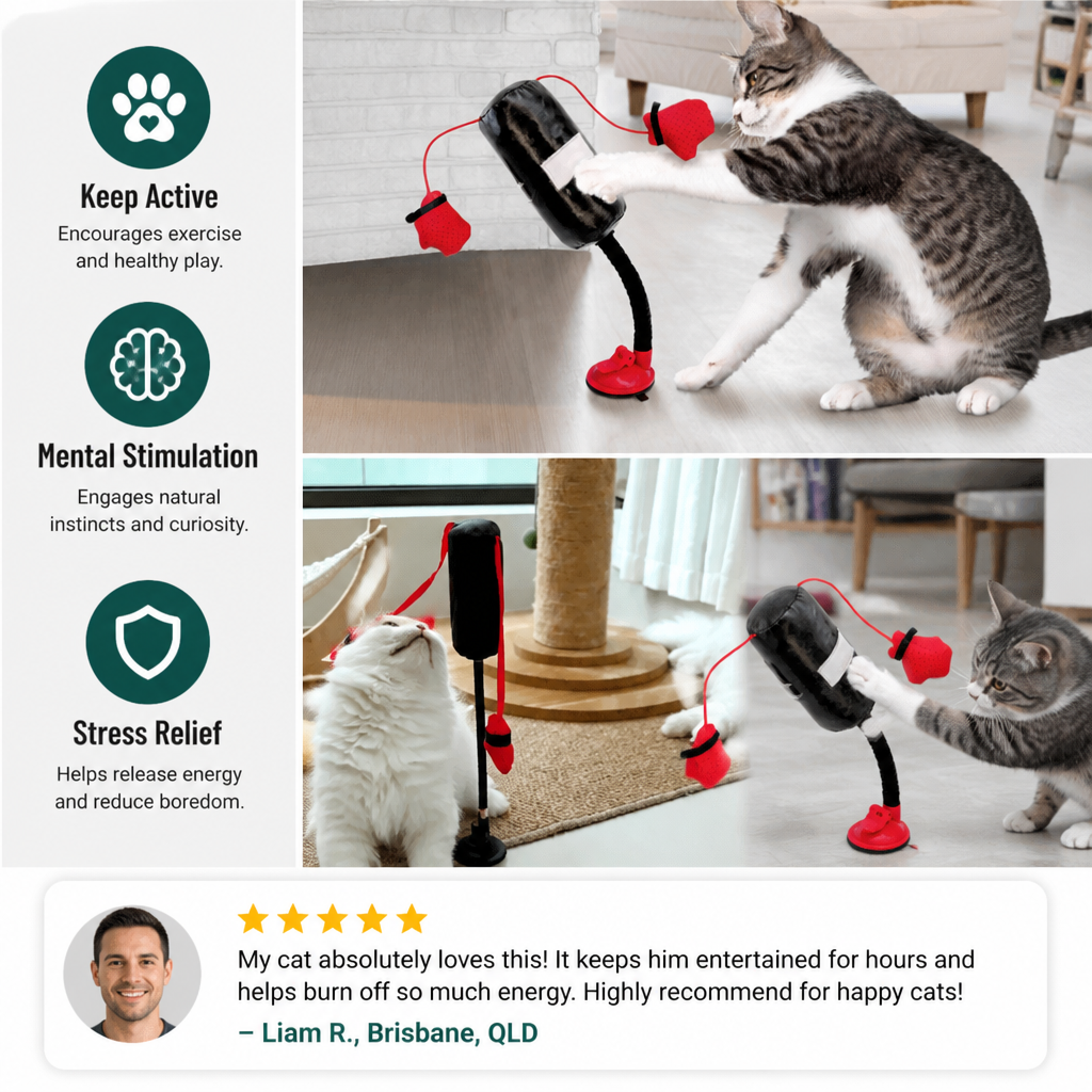 Durable Interactive Cat Boxing Toy with Punching Bag