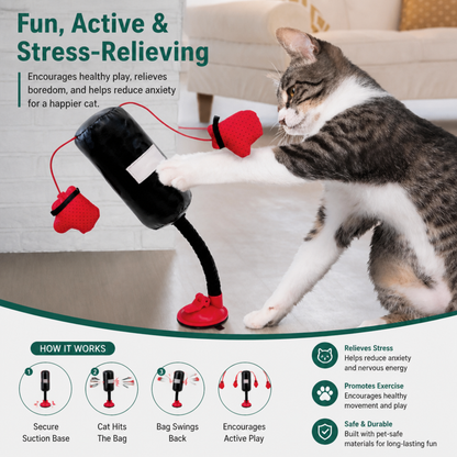 Durable Interactive Cat Boxing Toy with Punching Bag