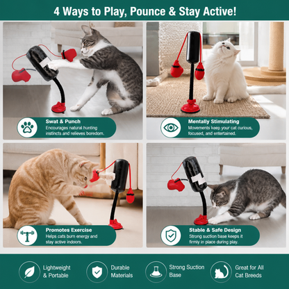 Durable Interactive Cat Boxing Toy with Punching Bag