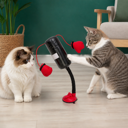 Durable Interactive Cat Boxing Toy with Punching Bag