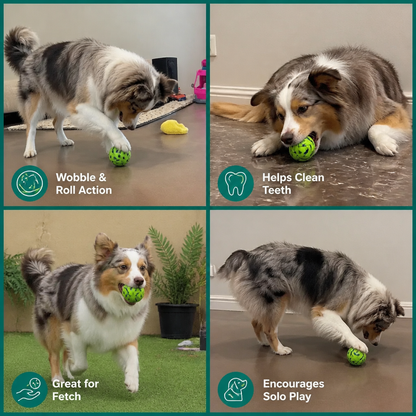 Interactive Squeaky Wobble Dog Ball – Durable Self-Play Toy
