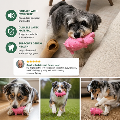Durable Funny Sound Animal Dog Toy – Durable Latex Squeaky Chew Toy
