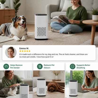 Pet Air Purifier