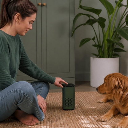 Pet Air Purifier