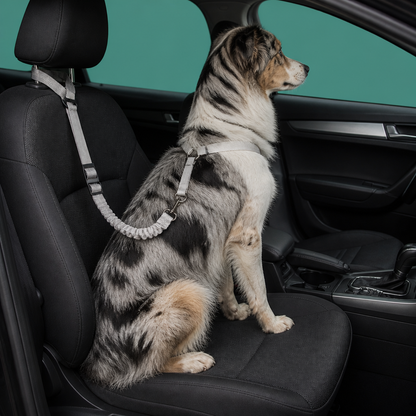 Dog Car Safety Belt