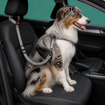 Dog Car Safety Belt