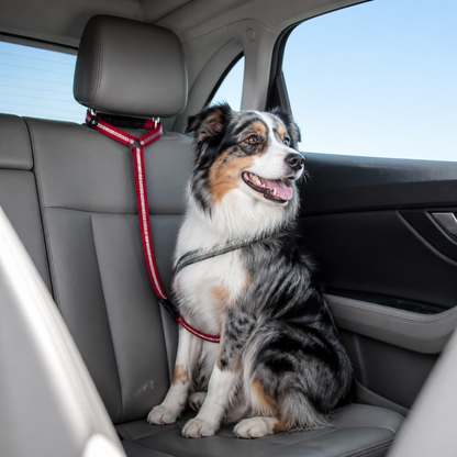 Dog Car Safety Belt