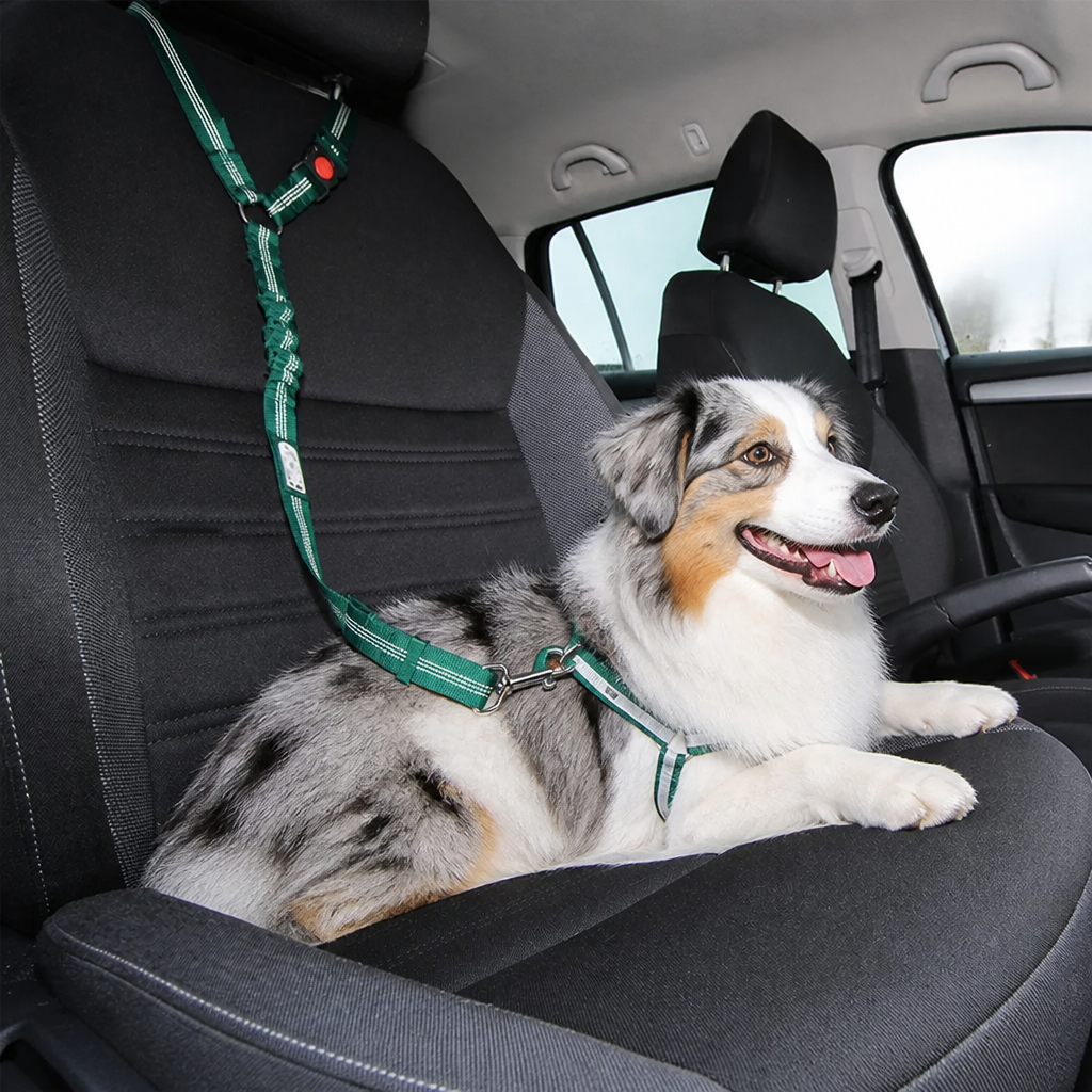 Dog Car Safety Belt
