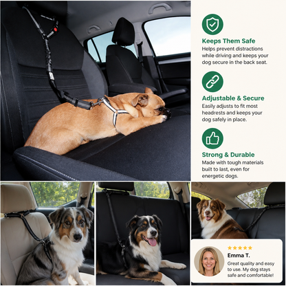 Dog Car Safety Belt