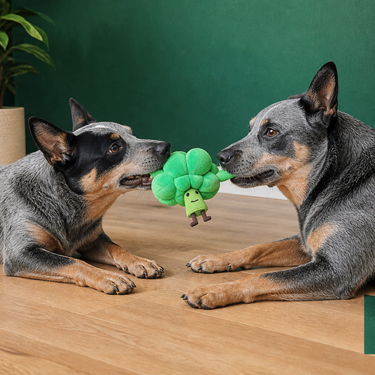 Sniffing Broccoli - Interactive Treat Toy