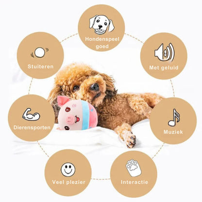 Interactive Dog Toy with Movement
