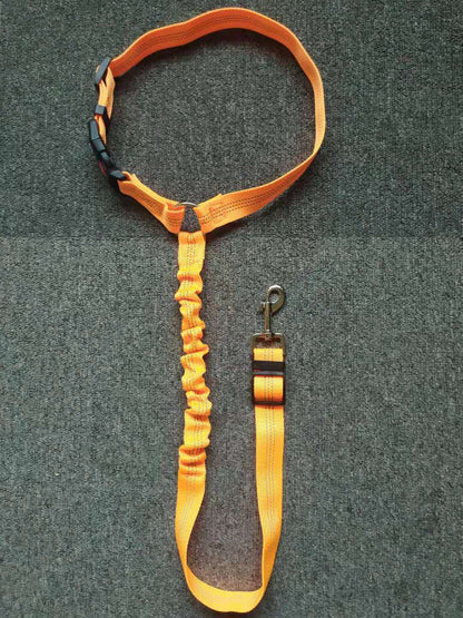 Car Seatbelt Harness
