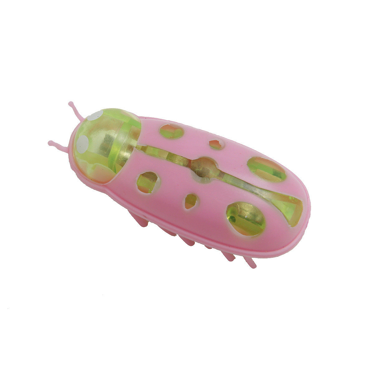Cockroach Toy for Cats