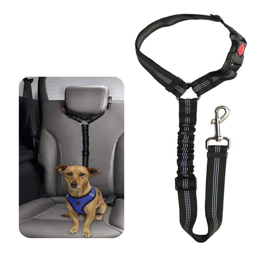Car Seatbelt Harness