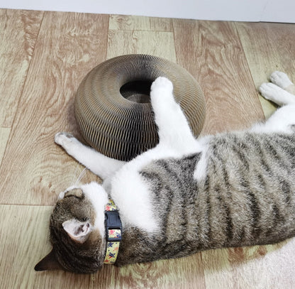 Cat Ball and Scratching Toys