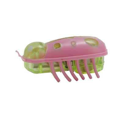 Cockroach Toy for Cats
