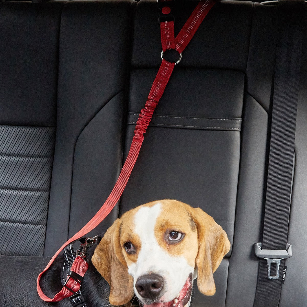 Car Seatbelt Harness