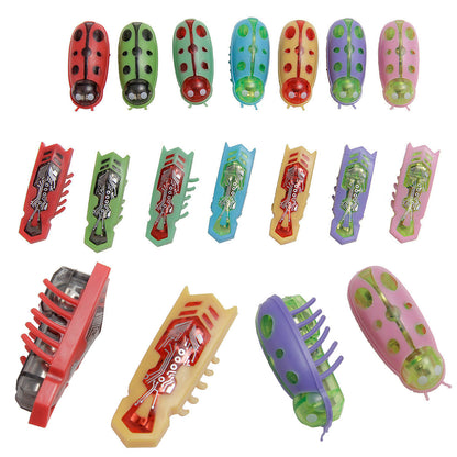 Cockroach Toy for Cats