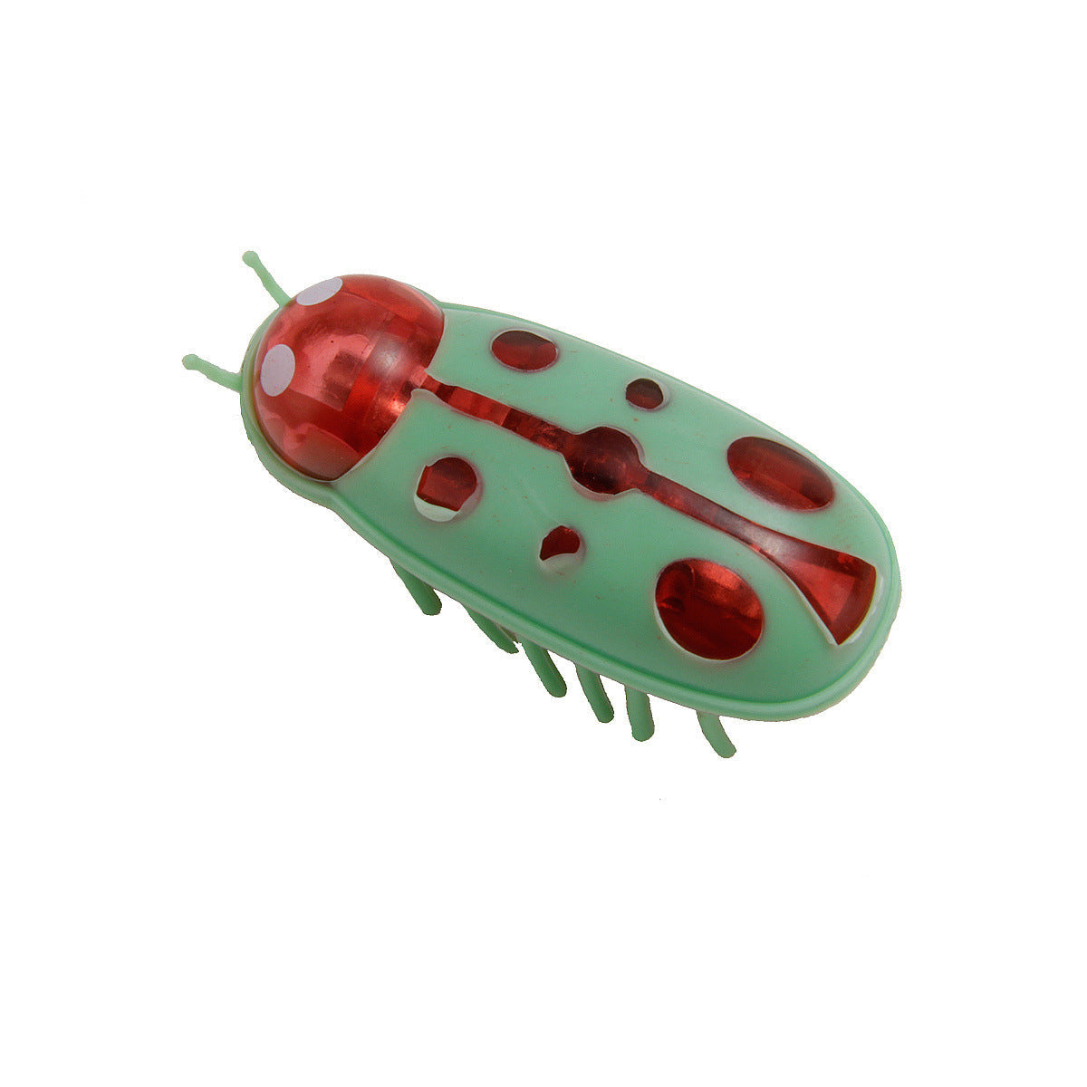 Cockroach Toy for Cats