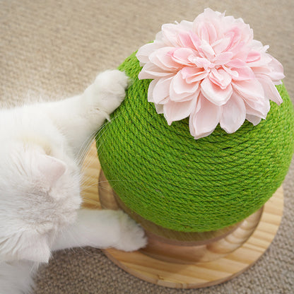 Cat Scratch Cactus with Integrated Toy