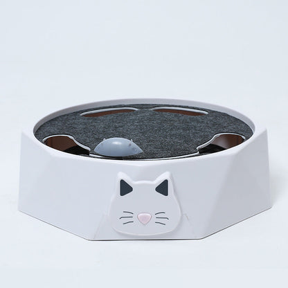 Interactive Mouse Hide-and-Seek Game for Cats