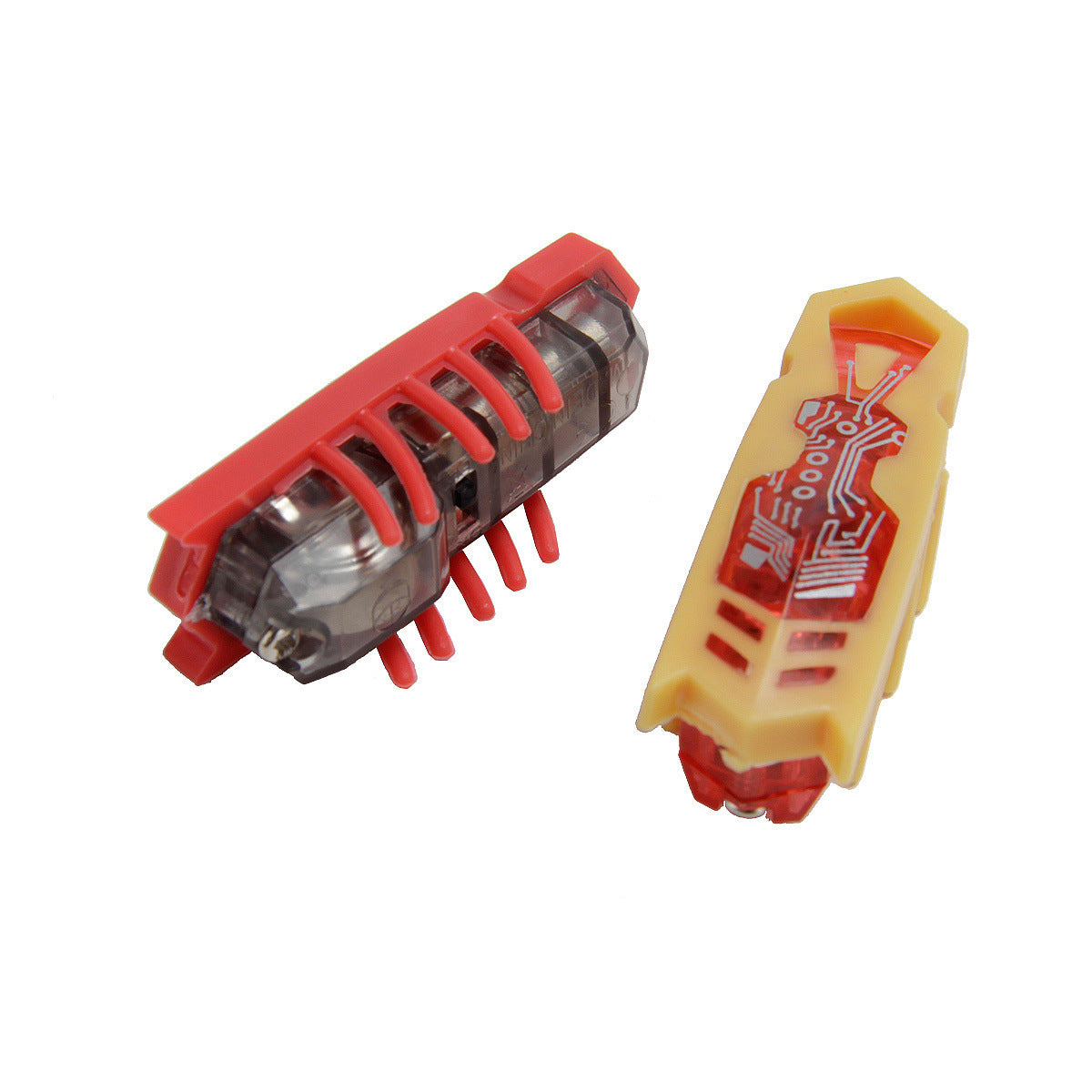 Cockroach Toy for Cats
