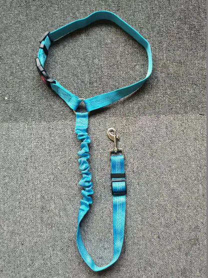 Car Seatbelt Harness