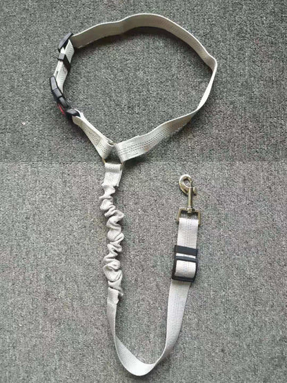 Car Seatbelt Harness