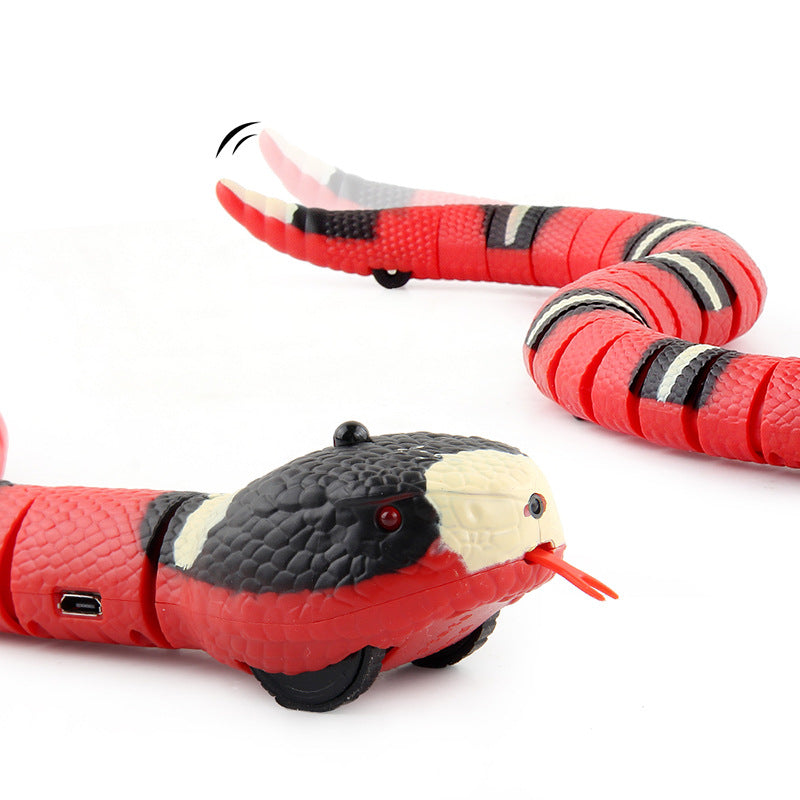 Snakey - Interactive Toy for Cats