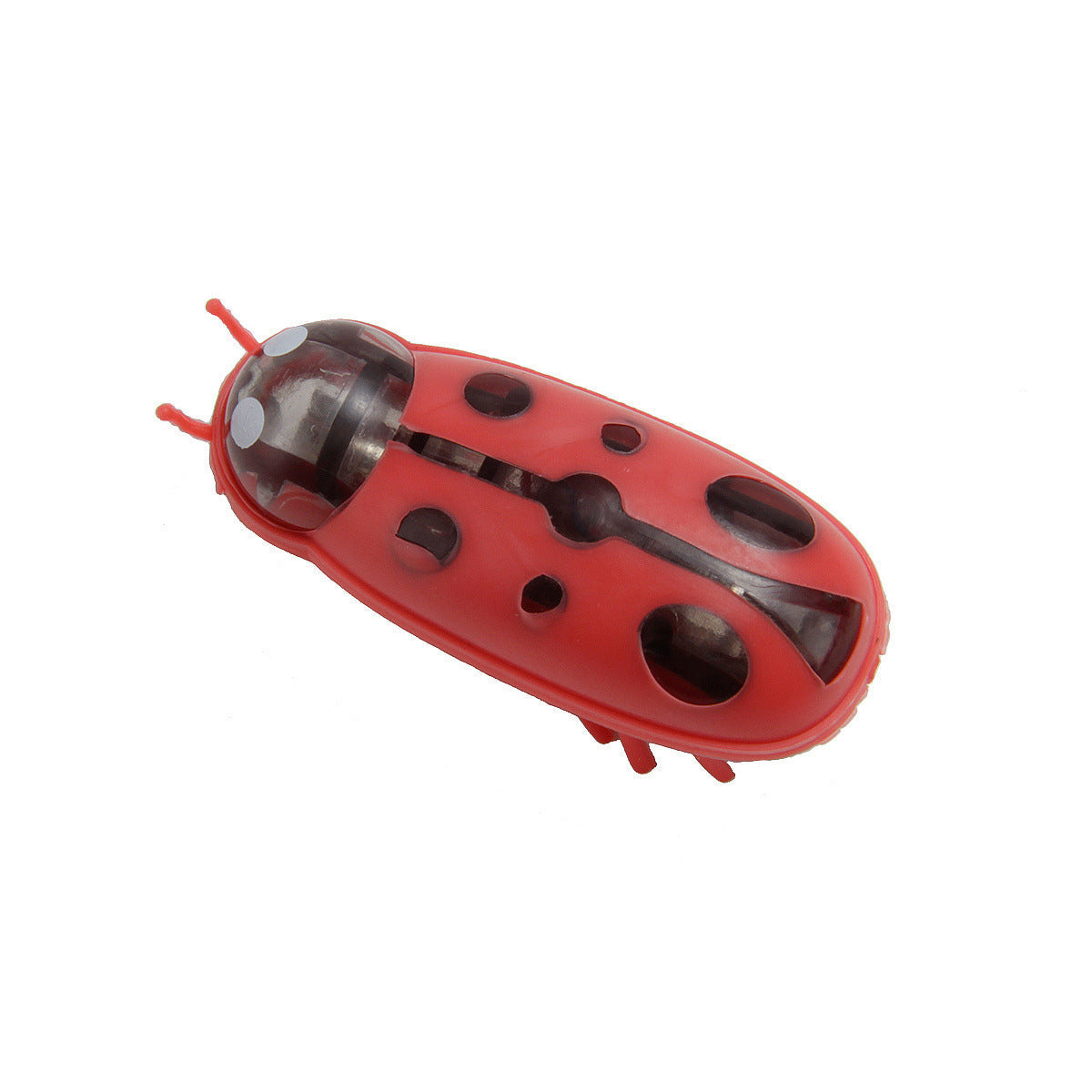 Cockroach Toy for Cats