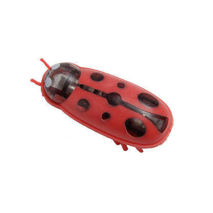 Cockroach Toy for Cats