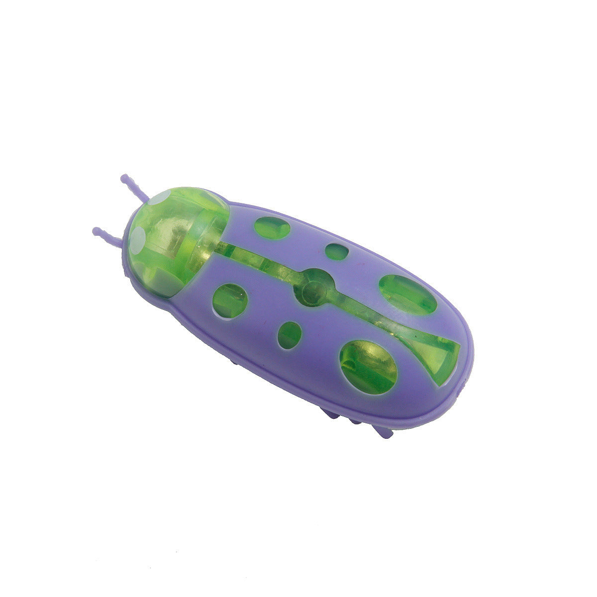 Cockroach Toy for Cats
