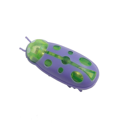 Cockroach Toy for Cats