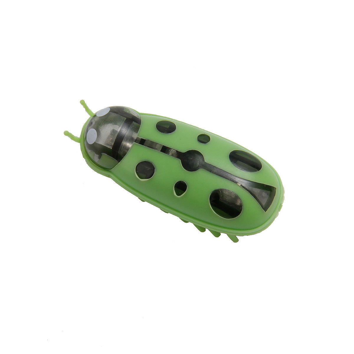 Cockroach Toy for Cats
