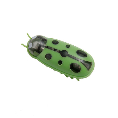 Cockroach Toy for Cats