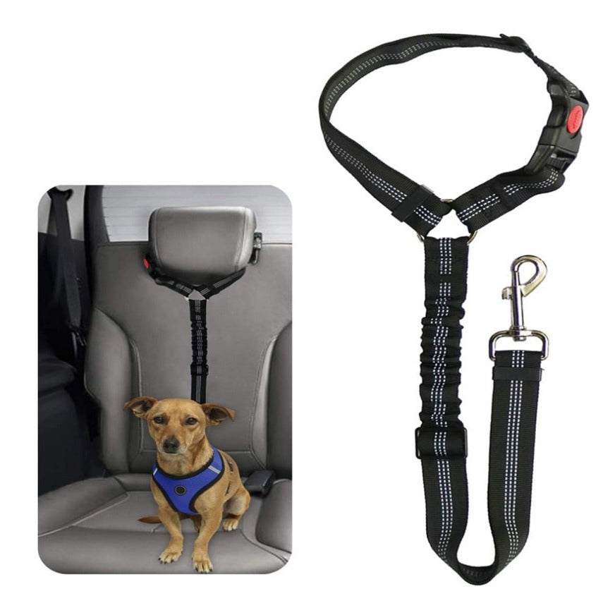 Car Seatbelt Harness