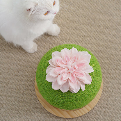Cat Scratch Cactus with Integrated Toy
